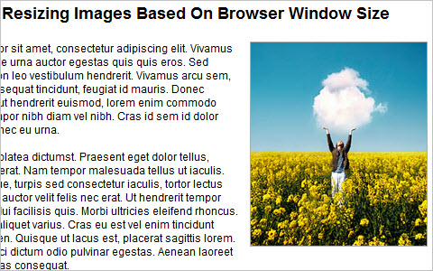 Quick Tip - Resizing Images Based On Browser Window Size