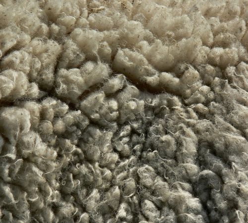 Wool Texture