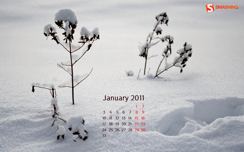 Smashing Wallpaper - January 2011