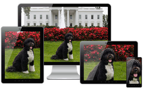 Picturefill is an responsive image approach that mimics the proposed picture element using divs.