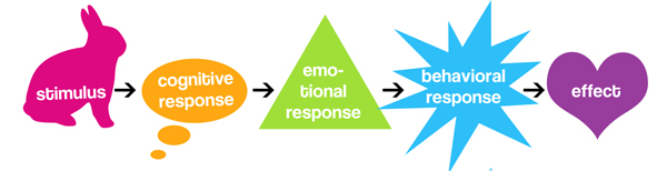 Cognitive Response Chart