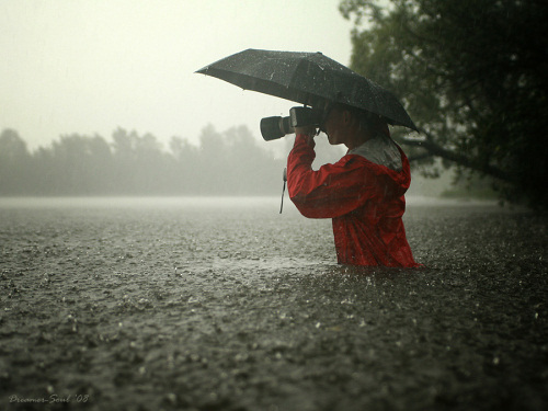 120 Best Rainy day photography ideas