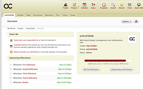 activeCollab Project Overview Screenshot