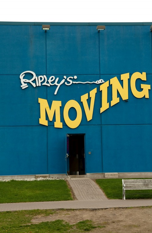 Wayfinding and Typographic Signs - ripleys-moving-indeed