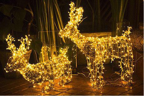 Lightning Photography - Santa's Reindeer - Light Sculpture