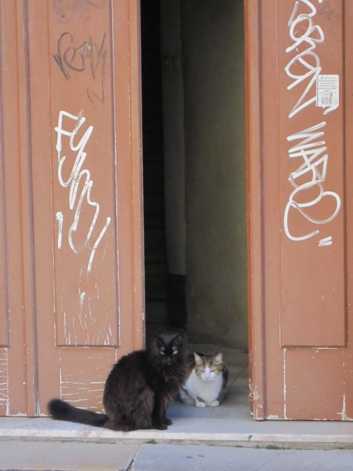 Wayfinding and Typographic Signs - lisbon-cats