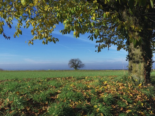 Environment Around Freiburg