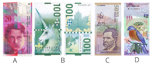 Swiss Franc Banknote Design Concepts