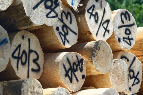Wayfinding and Typographic Signs - log-those-numbers