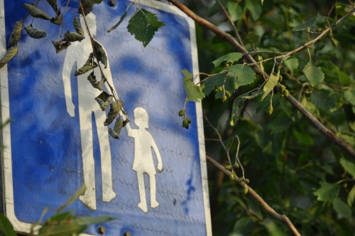 Wayfinding and Typographic Signs - nature-walk