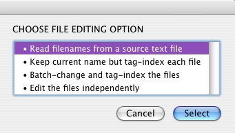 Rename Files screenshot on second level script options