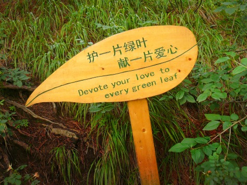 Wayfinding and Typographic Signs - devote-your-love-to-every-green-leaf