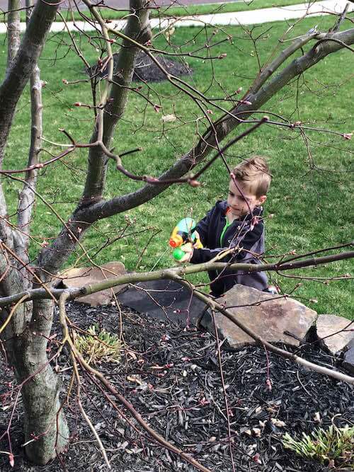 Child participant spraying plants with a water gun as part of the Nature Ninja activity.