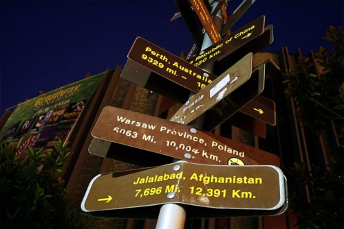 Wayfinding and Typographic Signs - international-tree-of-direction