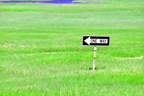 Wayfinding and Typographic Signs - salt-water-marsh-sign