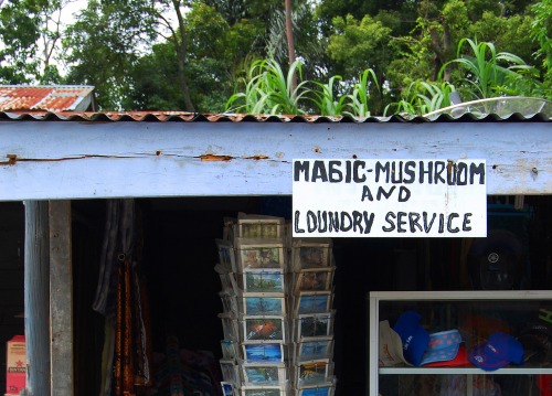 Wayfinding and Typographic Signs - magic-laundry