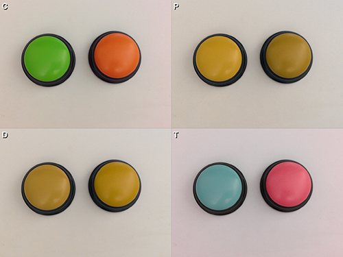 Seen through Chromatic Vision Simulator, the green and orange buttons show normal (C), protanope (P), deuteranope (D) and tritanope (T).