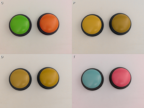 通过Chromatic Vision Simulator看到，绿色和橙色按钮显示正常（C）、精蛋白（P）、氘核（D）和三核蛋白（T）。