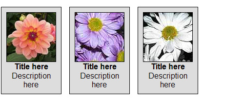 Definition Lists for Image Gallery