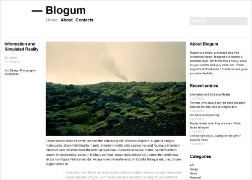 Blogum Free WP Theme