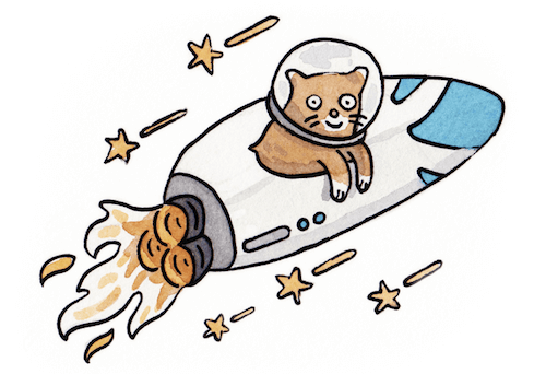 A cat in a rocket — the mascot of Yarn