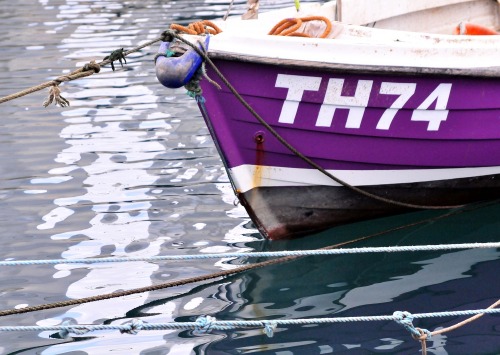 Wayfinding and Typographic Signs - fishing-boat-torquay