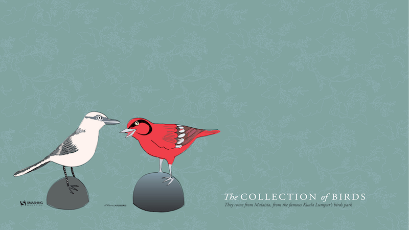 The Collection of Birds