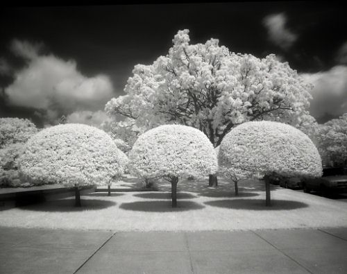 infrared photography people