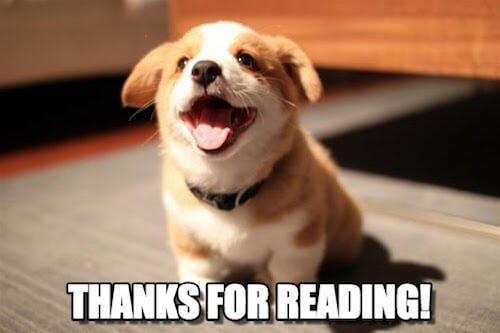 Puppy thanks you for reading