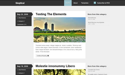 Skeptical Free WP Theme