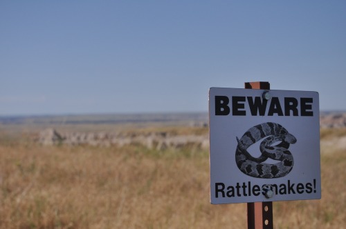 Wayfinding and Typographic Signs - beware-of-rattlesnakes