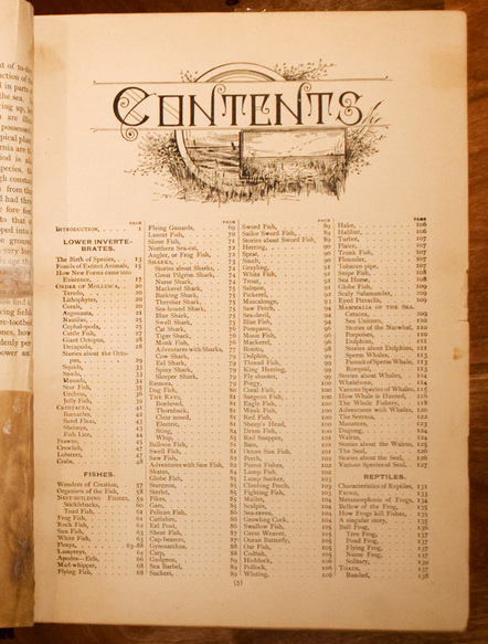 Table of Contents Showcase