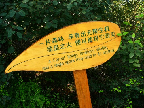 Wayfinding and Typographic Signs - a-forest-brings-limitless-vitality