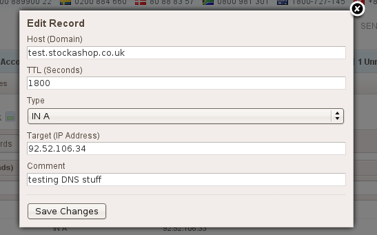 Editing a DNS entry