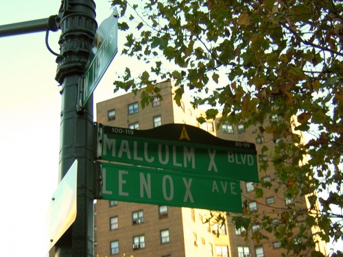 Wayfinding and Typographic Signs - malcom-x-blvd