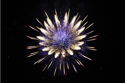 Fireworks Photos - Passion flower