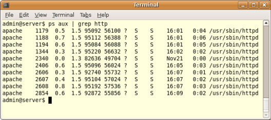 This listing shows that Apache is indeed running