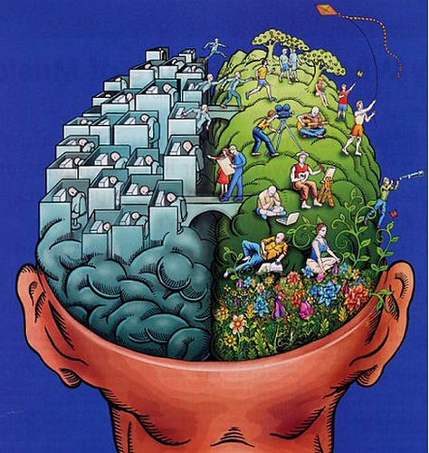 Artists depiction of the right and left brain.