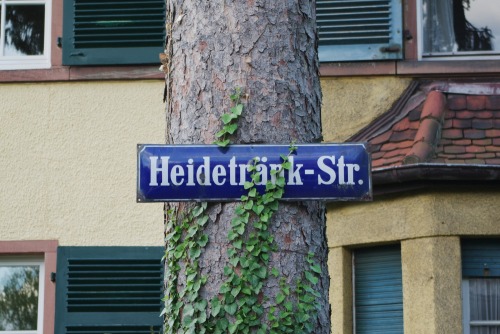 Wayfinding and Typographic Signs - nailed-street-sign