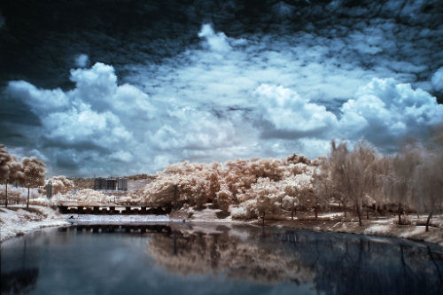 Infrared Photo