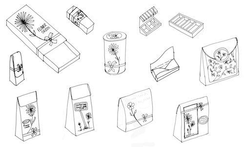 Concept development and sketches for flower seed packaging