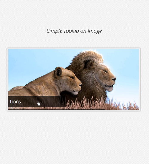 Simple Tooltip on image