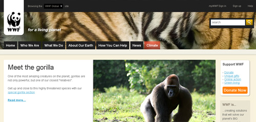 WWF on IE6