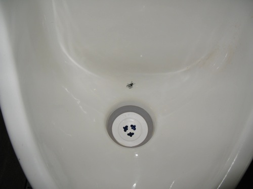 The urinal fly is proven to reduce spillage.