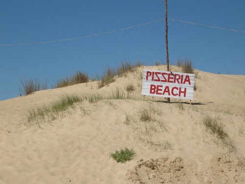 Wayfinding and Typographic Signs - pizzeria-beach