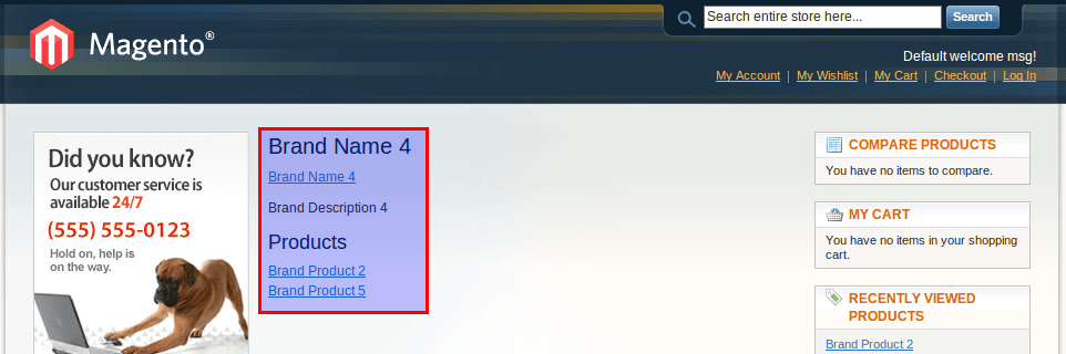 Magento Brand View