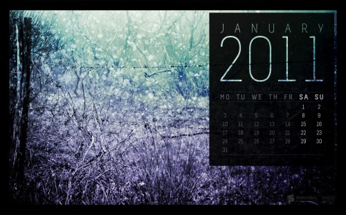 Smashing Wallpaper - January 2011