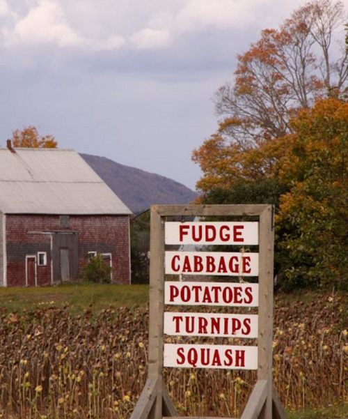 Wayfinding and Typographic Signs - fudge-before-veggies