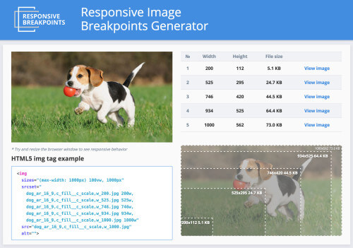 Responsive Image Breakpoints Generator Preview of 5 image sizes