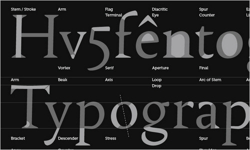  Wallpaper: Font Anatomy